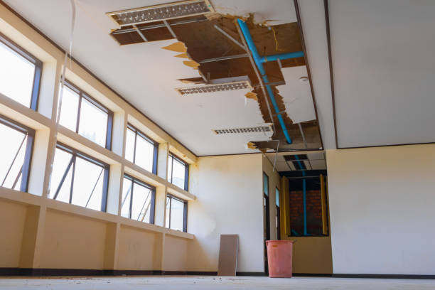 Best Water damage restoration near me  in Aberdeen, ID