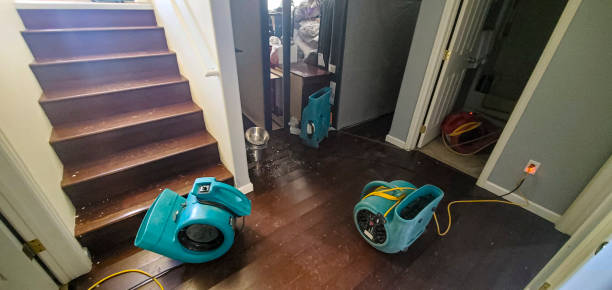Best Sewage cleanup and water damage restoration  in Aberdeen, ID