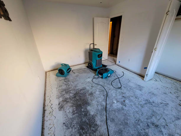 Best Flooded house restoration  in Aberdeen, ID