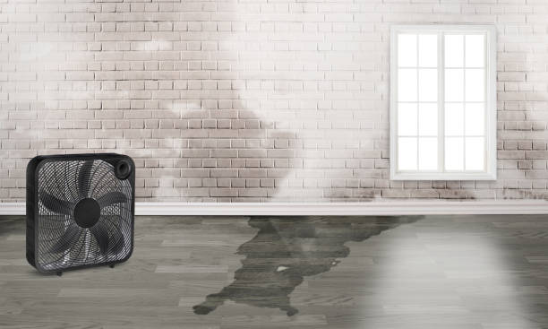 Best 24-hour water damage restoration  in Aberdeen, ID