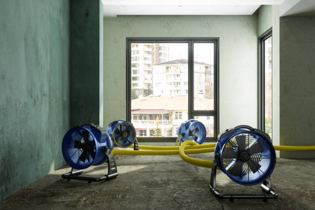 Best Commercial water damage restoration  in Aberdeen, ID