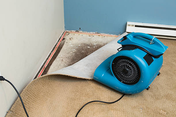 Best Basement water damage restoration  in Aberdeen, ID